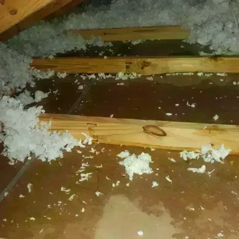 Attic Water Damage in Martindale, TX